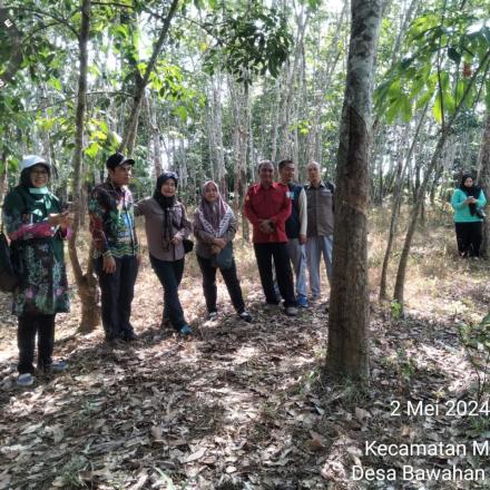 Peninjauan Lokasi Untuk Pembuatan Rumah Pompa, Saluran Irigasi, dan Kolam Penampungan 